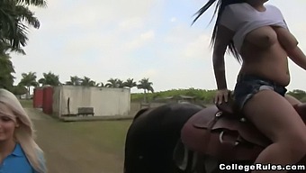 Young College Women Pleasure Their Male Classmate In A Hardcore Encounter