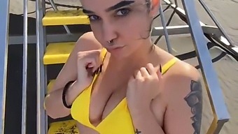 Watch As It Heats Up Beachgoers With Its Erotic Dance #Kodabratz