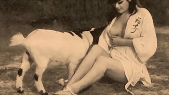 Retro Taboo Encounter With A Kinky Dog Play